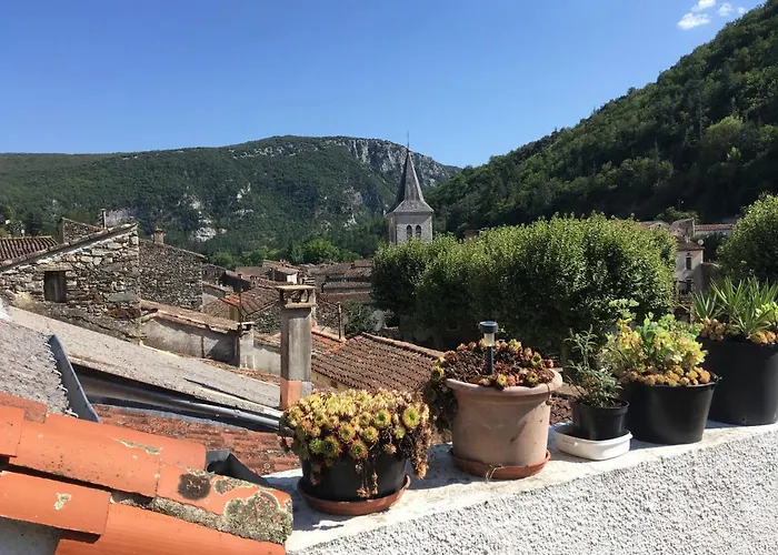 Lovely Cevenol