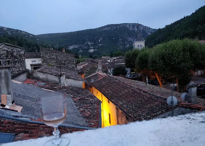 Lovely Cevenol 度假居 Saint-Laurent-le-Minier